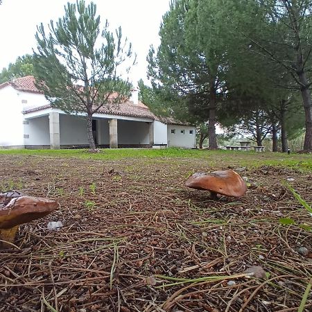 Vila Casa De Perais Exteriér fotografie